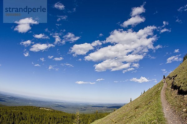 Ein Mountainbiker absteigend die eingleisige Strecke der Cox Hill  Kananaskis  AB