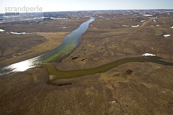 North Fork des Flusses Hood zeigt Karibus überqueren  Nunavut