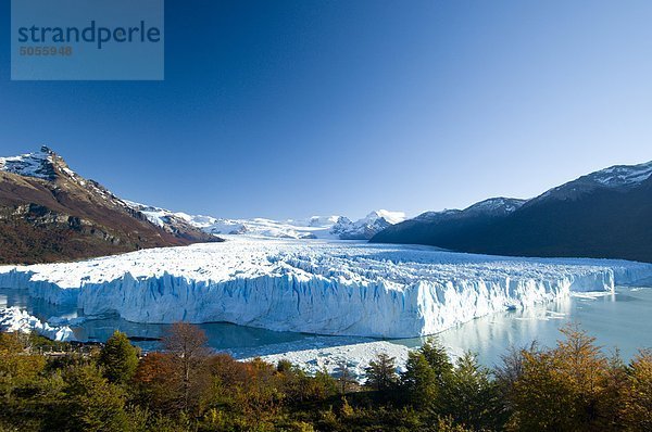 Perito-Moreno-Gletscher im Herbst  Kälber in die Gewässer des Lago Argentina  Parque Nacional Los Glacieres  Argentinien