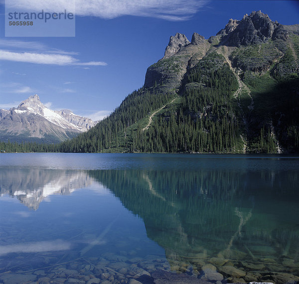 Reflexion der Wiwaxy Gipfel im See O'Hara im Yoho-Nationalpark  Kanada