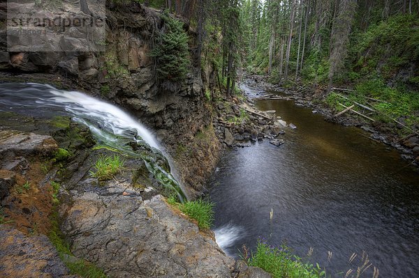 Moffat Creek Falls in British Columbia Kanada