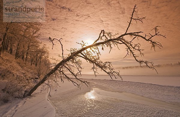 Winter des Winnipeg River  bei sieben Schwestern  Manitoba  Kanada