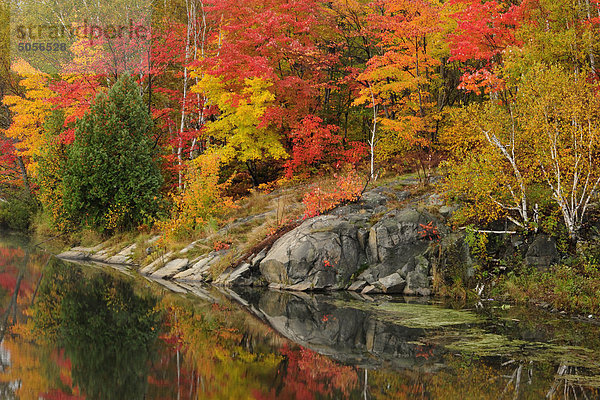 Herbst Bäume und Felsen-Aufschlüssen am Ufer des Simon See  Greater Sudbury  Ontario  Kanada.