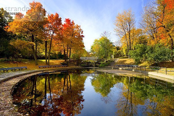 Teich im Herbst in Jean-Drapeau Park  Montreal  Quebec  Kanada.