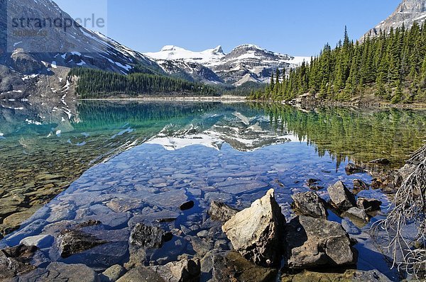 Bow Lake  Bow Glacier  Banff-Nationalpark  Alberta  Kanada