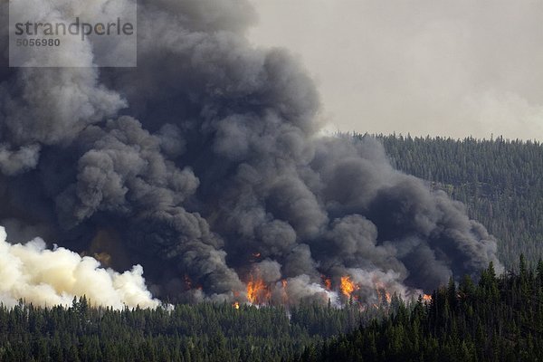 Waldbrand Bilder in der Chilcotin-Region von British Columbia Kanada