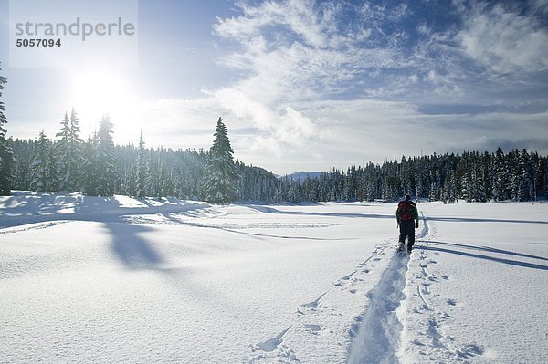 Ein einsamer Showshoer Wanderungen entlang einer vorhandenen Trail durch das Paradies Wiese-Gebiet an Mt. Washington. Mount Washington  das Comox Valley  Vancouver Island  British Columbia  Kanada.