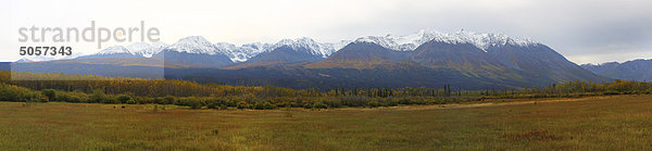 Panoramische Ansicht der St. Elias Mountains im Herbst Farben in der Nähe von Haines Junction  Yukon.