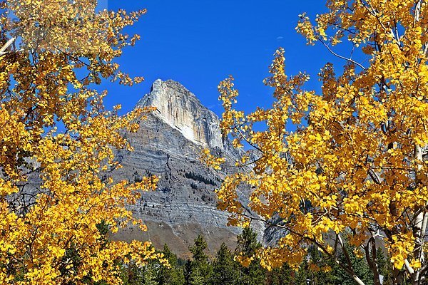 MT Wilson  Banff-Nationalpark  Alberta  Kanada