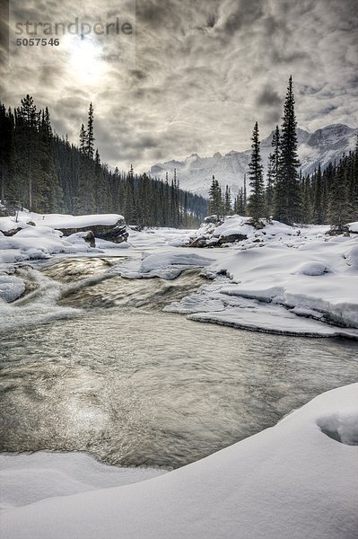 Fließendes Wasser des Flusses Mistaya umgeben von frischer Schnee und Eis im Winter mit Mount Sarbach (3155 Meter/10351 Füße) im Hintergrund  kanadischen Rocky Mountains  Alberta  Kanada.