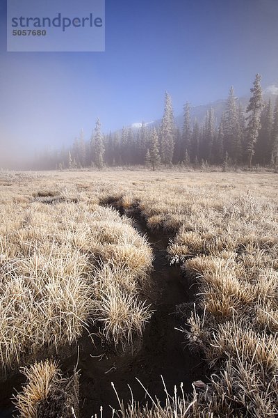 Ice-Nebel entlang Icefields Parkway im Herbst  Banff-Nationalpark  Alberta  Kanada.