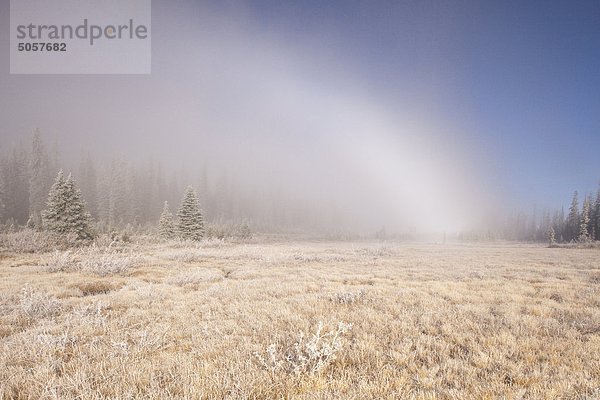 Eis Fogbow entlang Icefields Parkway im Herbst  Banff-Nationalpark  Alberta  Kanada.