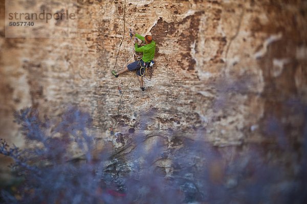Eine männliche Bergsteiger Sportklettern in Red Rocks  Las Vegas  Nevada  Vereinigte Staaten