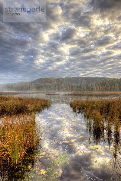 Am südlichen Ende des Opeongo Sees  Algonquin Park  Ontario  Kanada.