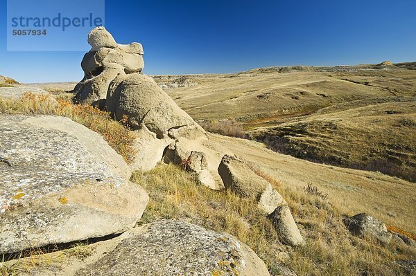 Keilschwanz-Regenpfeifer Badlands  Ostblock  Grasslands-Nationalpark  Saskatchewan  Kanada