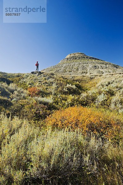 Wanderer in der Keilschwanz-Regenpfeifer Badlands  Ostblock  Grasslands-Nationalpark  Saskatchewan  Kanada