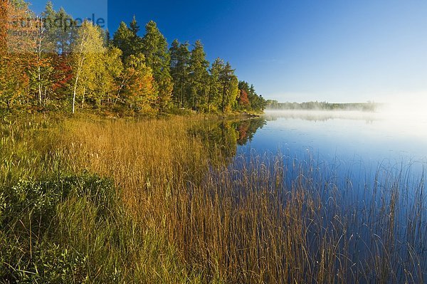 Herbst  Bunny Lake in der Nähe von Sioux Narrows  Nordwesten Ontarios  Kanada