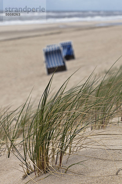 Dünengras und Stradkörbe  Sylt  Schleswig-Holstein  Deutschland  Europa