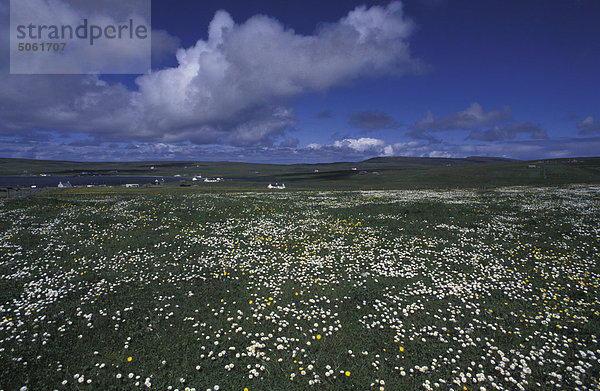 UK  Schottland  Shetland-Inseln  Festland