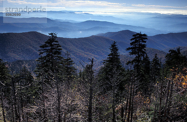 USA  Tennessee  Smoky Mount Nationalpark  Blick vom Clingmans Dome