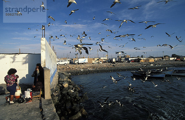 Peru  Paracas: Fischerhafen