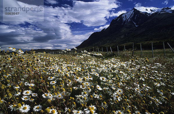 Südamerika  Chile  Torres del Paine Nationalpark  Hosteria Las Torres