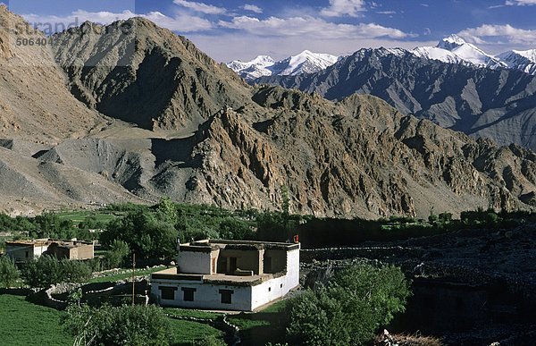 Indien  Jammu und Kashmir  Ladakh  Hemis Dorf