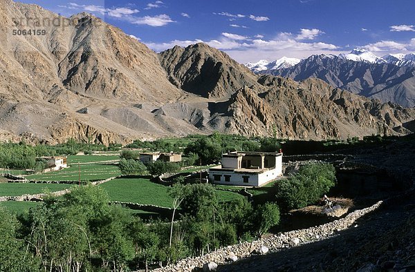 Indien  Jammu und Kashmir  Ladakh  Hemis Dorf