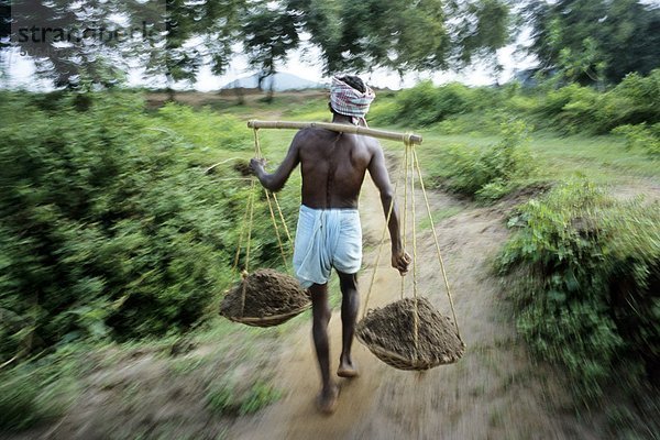Indien  Orissa  Farmer auf Feld