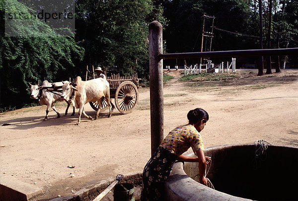 Frau am Brunnen. Bagan Myanmar (Burma)