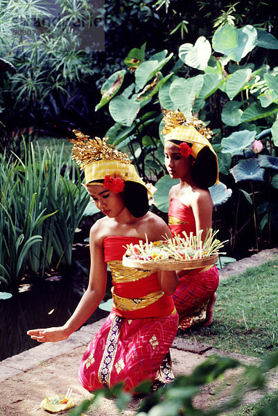 Die balinesischen Mädchen macht ein Angebot  dem Gott. Bali  Indonesien