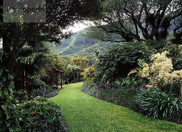 Lyon Arboretum  Honolulu  Hawaii  USA