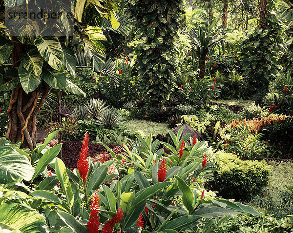 Indonesien  Bali  tropischen Garten