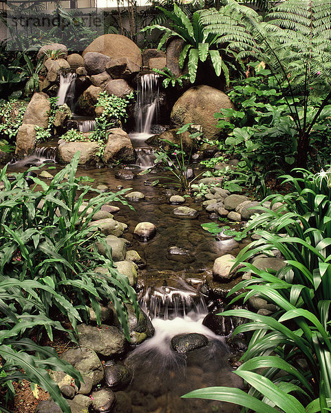 Singapur  Stream im Garten