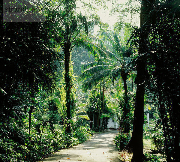 Singapur  tropischen Garten