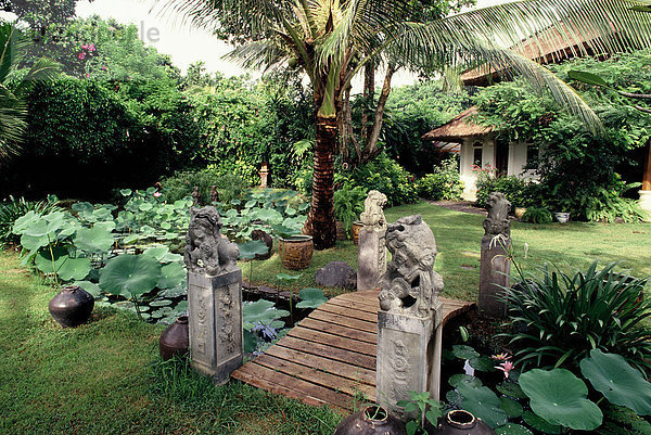 Lotus-Teich  Bali