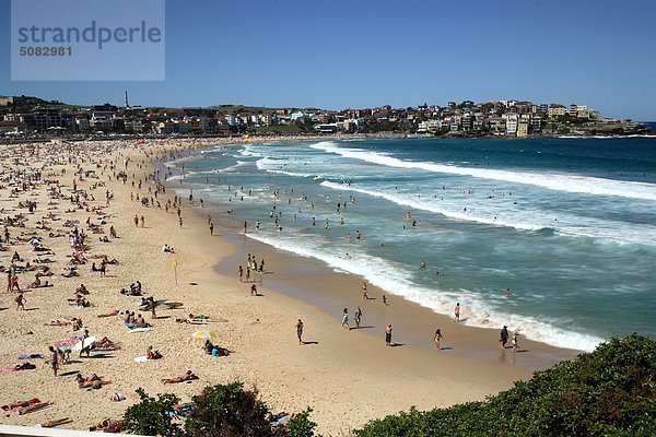 Australien  neue südliche Striemen  Sydney  Bondi Beach