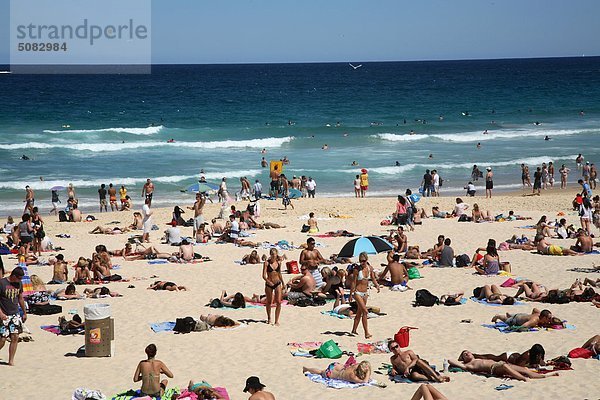 Australien  neue südliche Striemen  Sydney  Bondi Beach