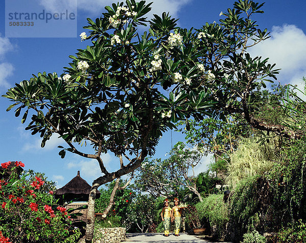 Balinesische Mädchen im Garten im Four Seasons Hotel in Jimbaran  Bali  Indonesien