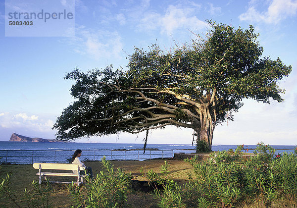 Tree von Seaside-Friedhof in Mauritius