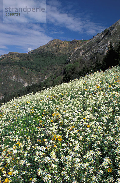 Italien Lombardei