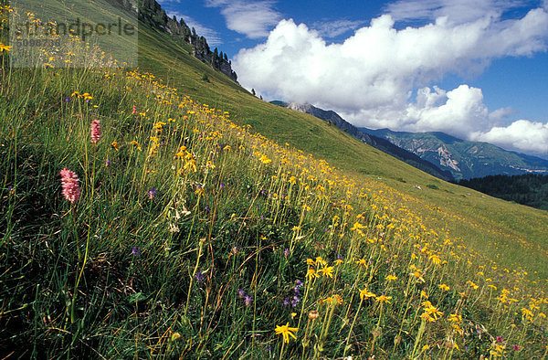 Trentino Südtirol Italien