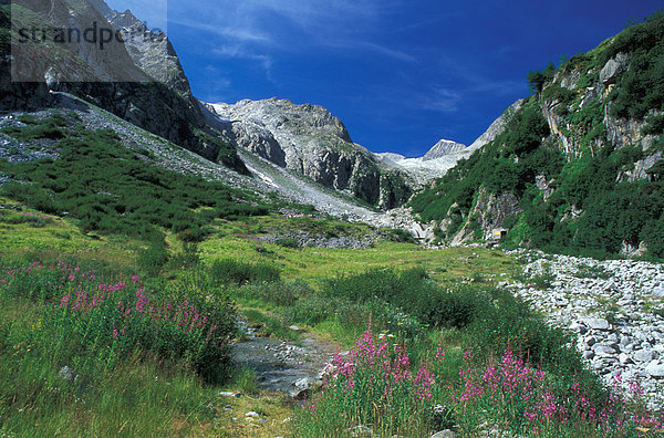 Tal Alpen Italien