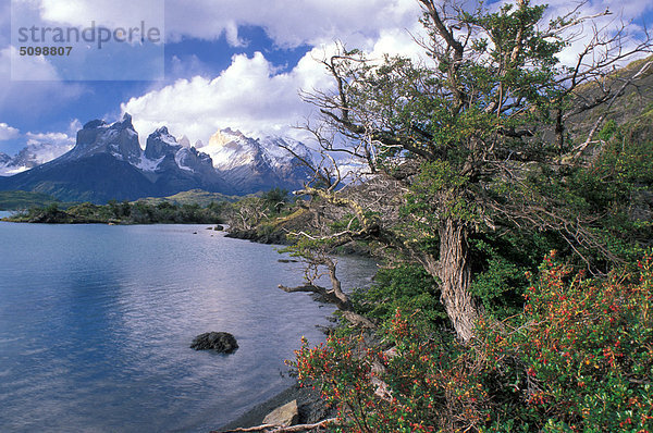 Chile  Patagonien  Nationalpark Torres del Paine  Lake Pehoe
