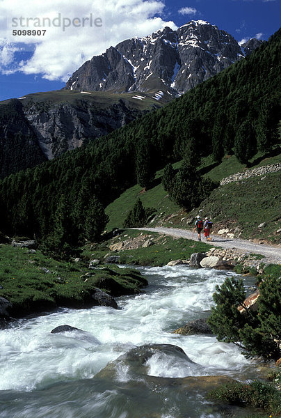 Schweiz. Engadina  Bergfluss auf Plain D'Immez