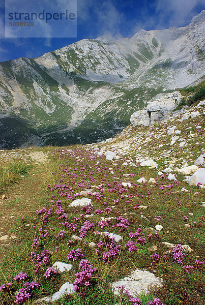 Lombardei  Bergamo  Monte eigener Sentiero dei fiori