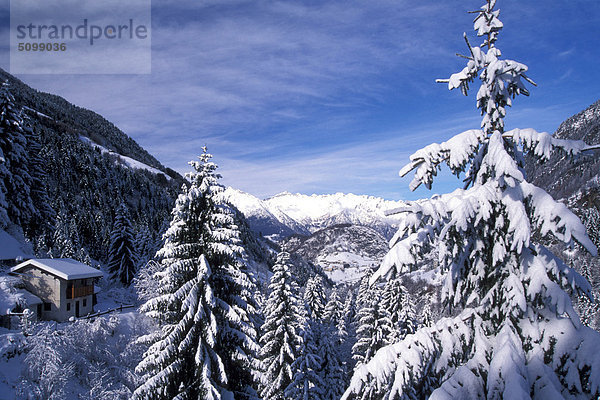 Italien  Lombardei  Orobie Alpen  Tartano Tal. Wald bedeckt mit Schnee