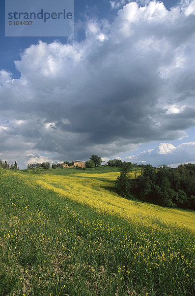 Landschaft Italien Toskana