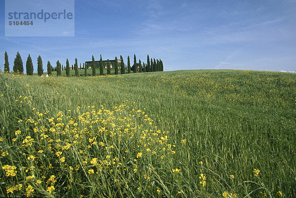 Landschaft Italien Pienza Toskana Val d'Orcia