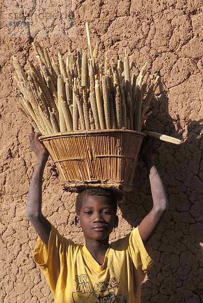 Bambara junge mit Korb voller Hirse  Hombori Bereich  Mali